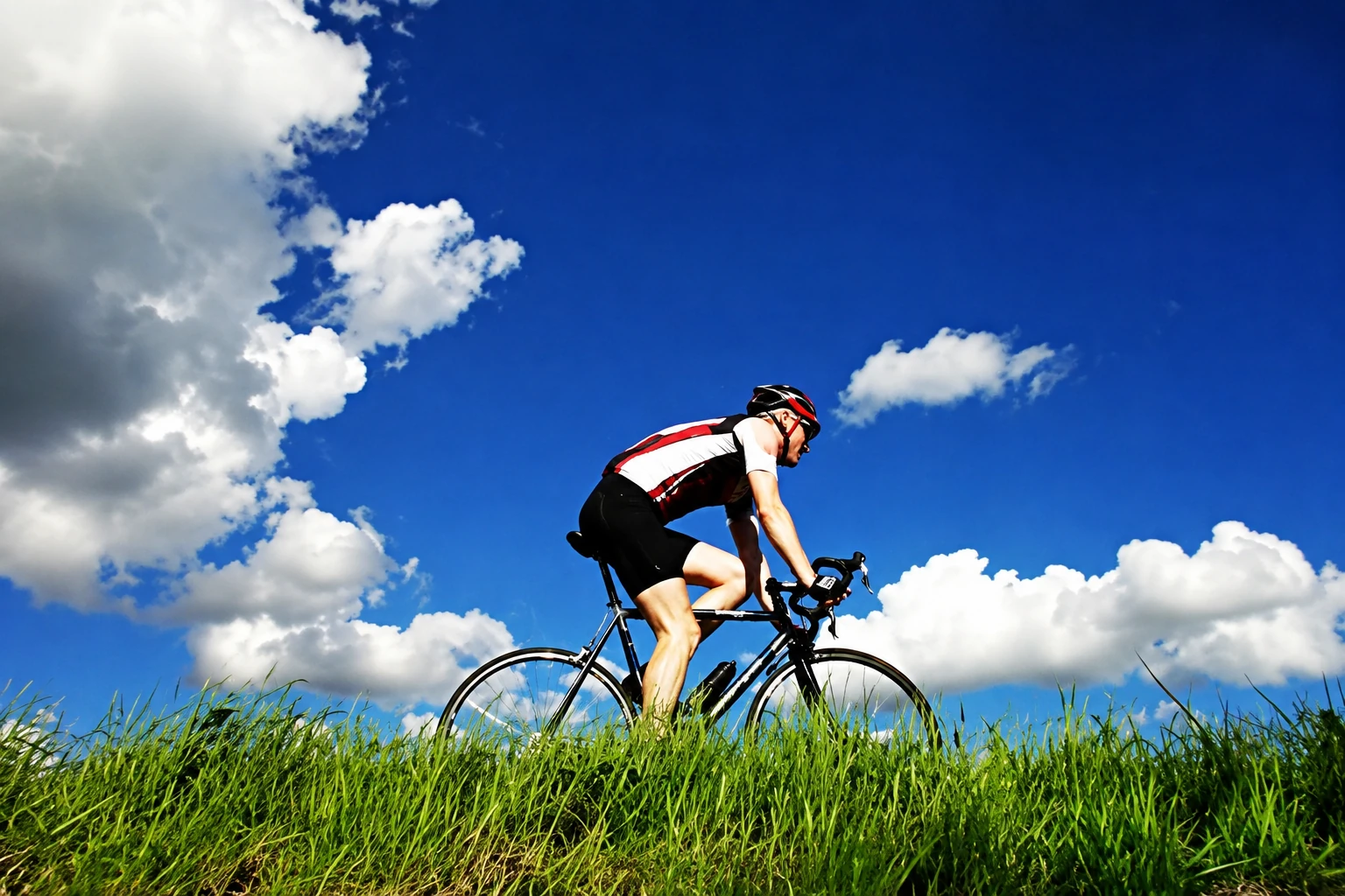 Cycle along the trails