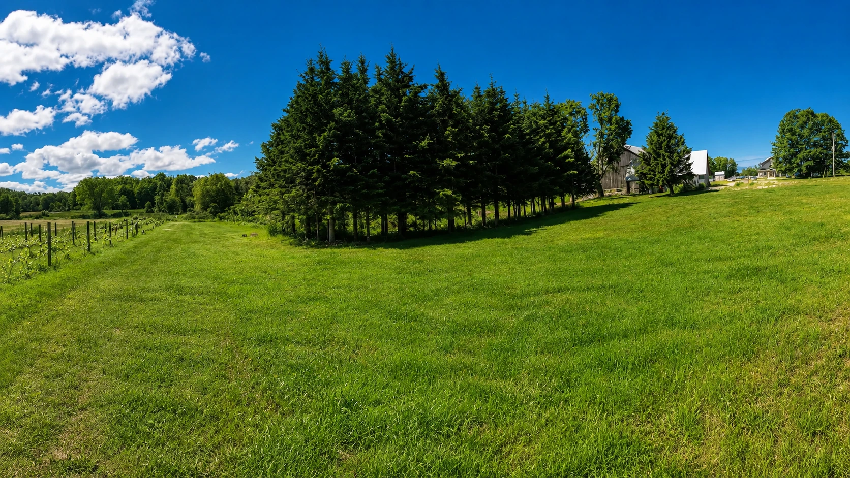 Scenic landscape view over Georgian Bay Park